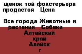 щенок той-фокстерьера продается › Цена ­ 25 000 - Все города Животные и растения » Собаки   . Алтайский край,Алейск г.